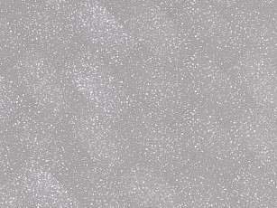 Кварцвиниловые полы Ecoclick Stone клеевой 2.3мм NOX-1768 Фицрой фото 1 | FLOORDEALER